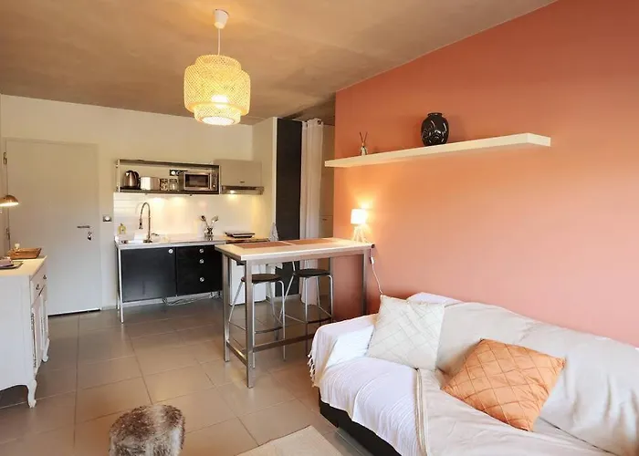 Le Saint Roch 1 - Ac Clim - Wifi - 50M Centre Ville